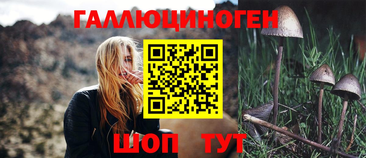 Псилоцибиновые грибы MAGIC MUSHROOMS Учалы
